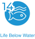 Life Below Water - Sustainable Development Goal