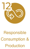 Responsible Consumption and Production - Sustainable Development Goal